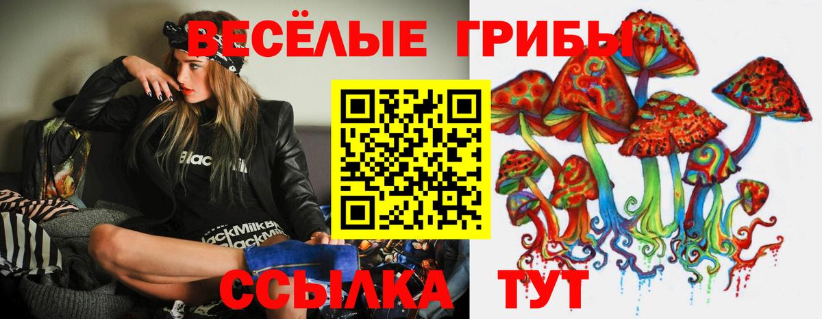 Псилоцибиновые грибы MAGIC MUSHROOMS  Вход с VPN  Кузнецк  Галлюциногенные грибы Psilocybe 