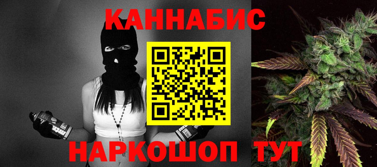 МАРИХУАНА сатива Кузнецк